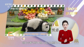 综合伊人